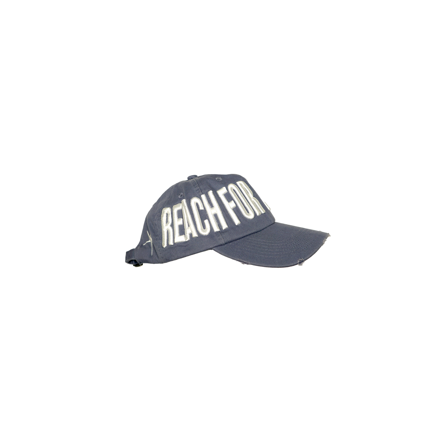 RFTS Cap - Blue
