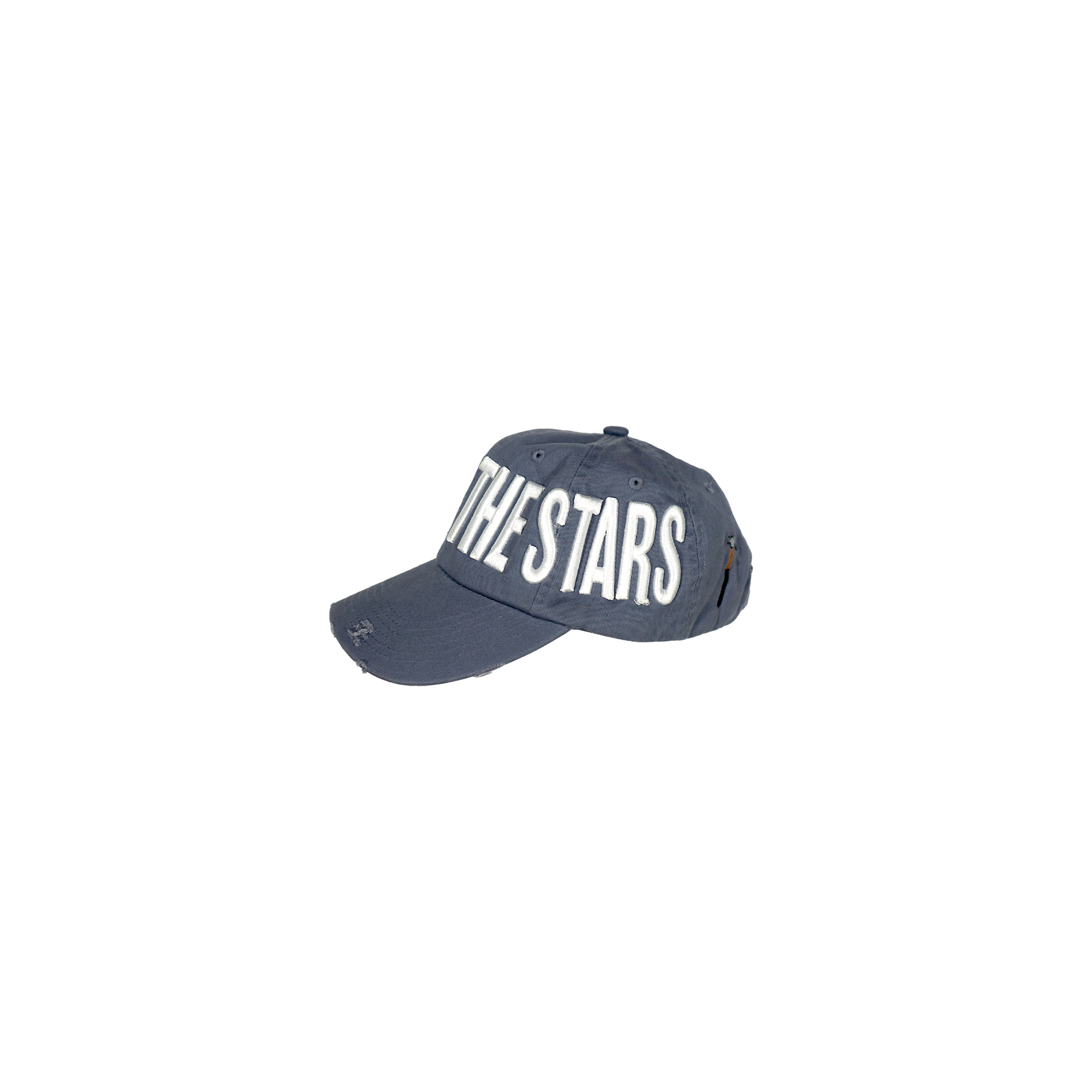RFTS Cap - Blue